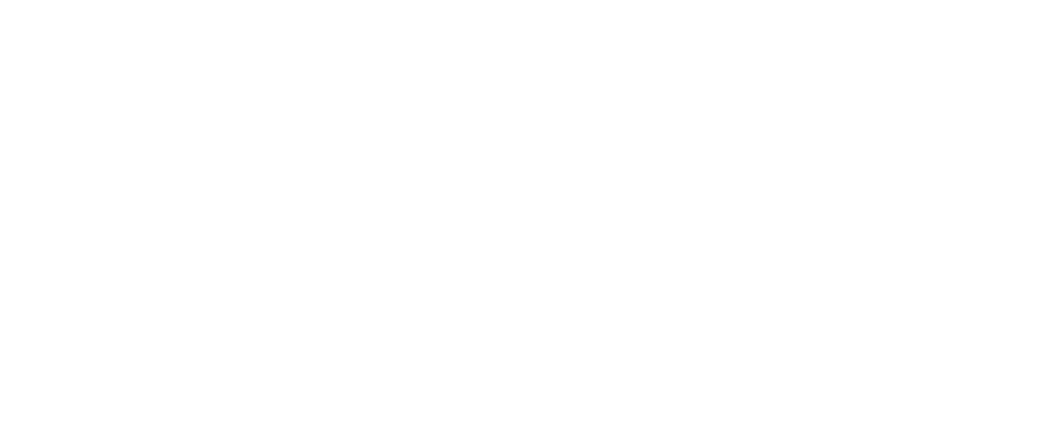Spesy